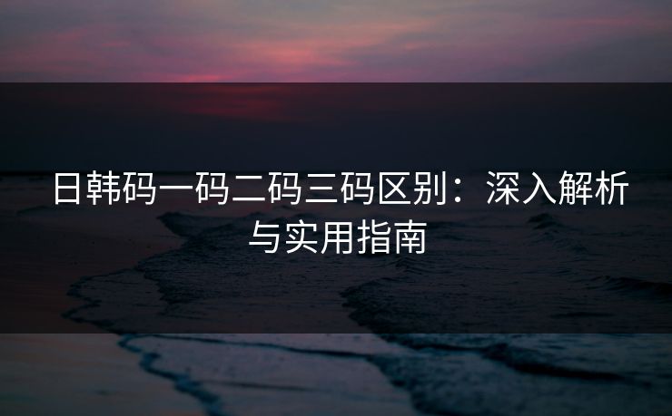 日韩码一码二码三码区别：深入解析与实用指南