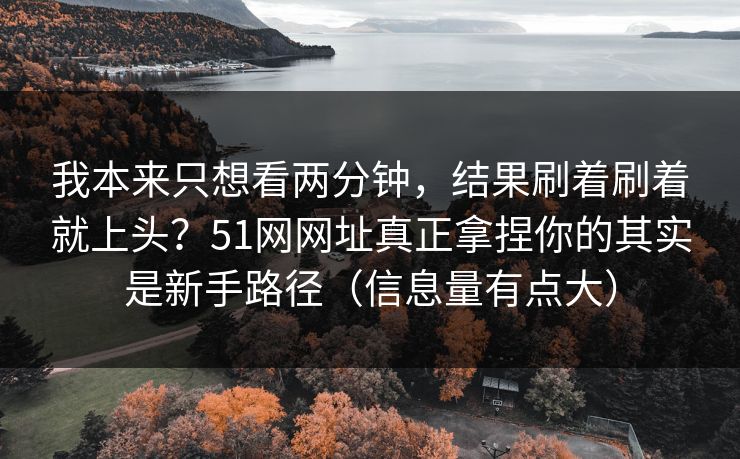 我本来只想看两分钟,结果刷着刷着就上头?51网网址真正拿捏你的其实是新手路径(信息量有点大)
