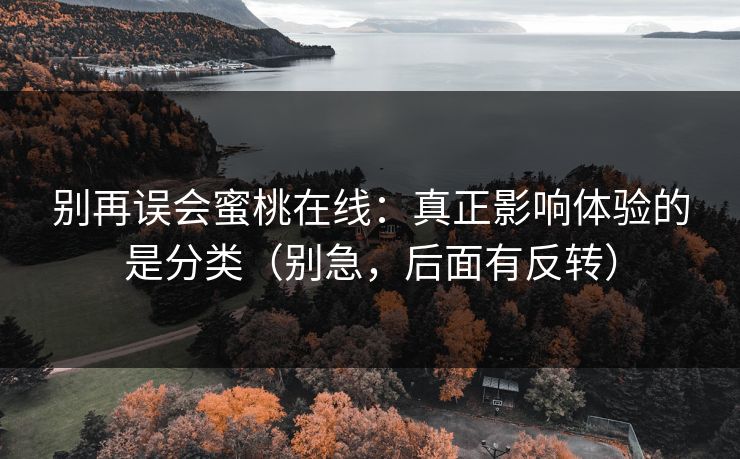 别再误会蜜桃在线:真正影响体验的是分类(别急,后面有反转)