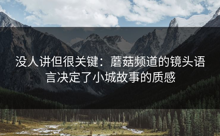 没人讲但很关键:蘑菇频道的镜头语言决定了小城故事的质感 没人讲但很关键:蘑菇频道的镜头语言决定了小城故事的质感